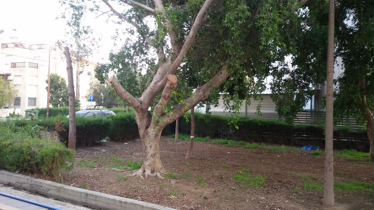 Lca2 Flat For You Apartment لارنكا المظهر الخارجي الصورة